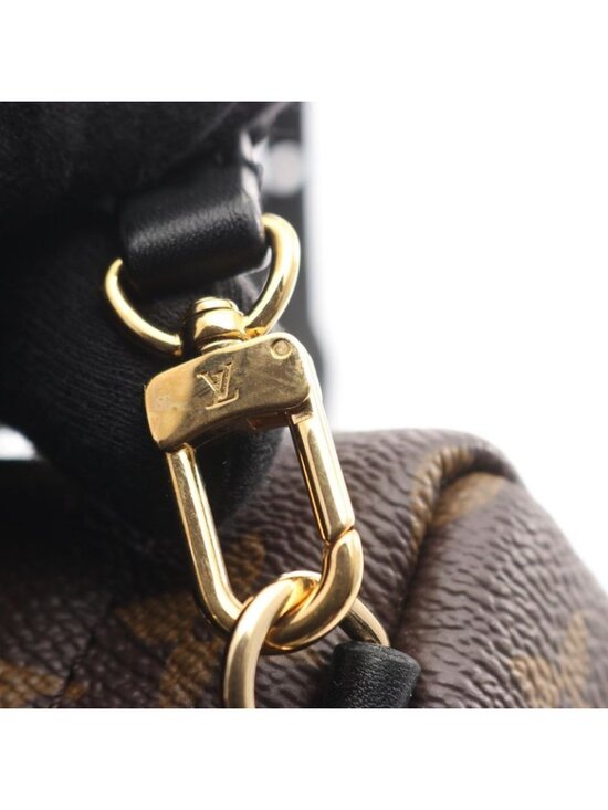 Louis Vuitton Backpack Palm Spring Mini Canvas Leather